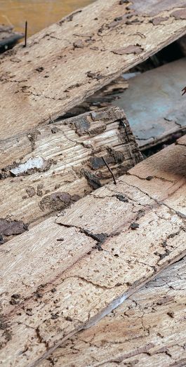Mur fissuré et dégradé illustrant les pathologies du bâti liées à l'amiante